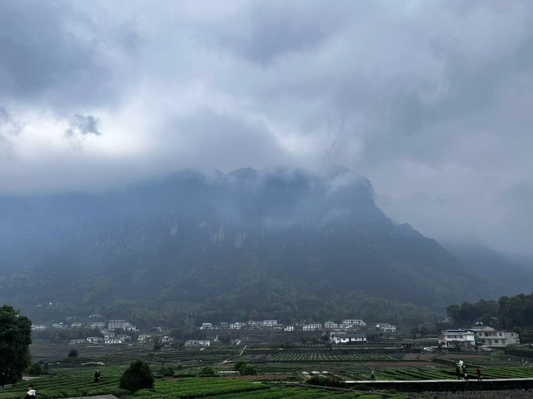 云雾山田